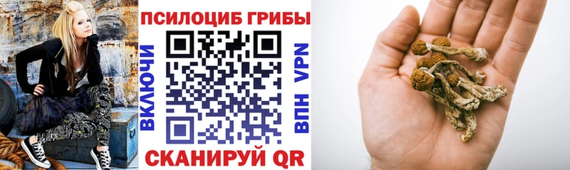 Купить закладки  Саранск  Галлюциногенные грибы Psilocybine cubensis 